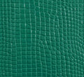 editorial green